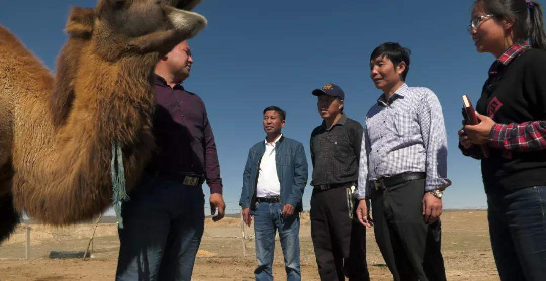 3.png?x-oss-process=style/w10