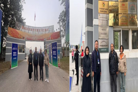 国家重要特色物种西葫芦育种联合攻关项目品种展示 落户北京市丰台区“国家农作物品种展示评价基地”